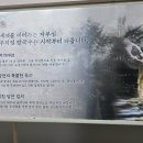 궁전해물칼국수배방