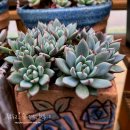 여미하우스 이미지