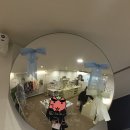 서울 성동구 서울숲 소품샵 투어 방문후기 1탄 | 라라바스켓