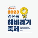 제주도 영천동 해바라기 축제 이미지