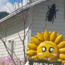 강천식당 이미지