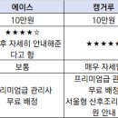 에이스전산 | 노원구 산후도우미 업체 3곳 상담 비교 후기｜에이스산모케어 vs 캥거루케어 vs 해피케어