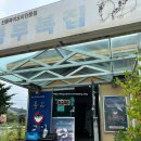 충무복집 | 강원도 춘천 동면 복어 전문점 충무복집 내돈내산 후기