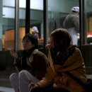 고양이를 부탁해 이미지