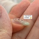 나인앤네일