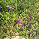 세븐일레븐(김해외동한국점) 이미지