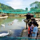 백조어린이집 이미지