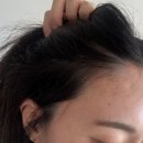 푸잉 | 새치커버 헤어틴트 디아쉬끄 샴푸잉 커버틴트 솔직후기