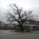 도하1리마을회관 이미지