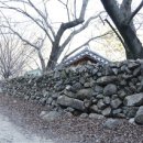 박준목 카카오 검색결과