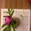 봄봄스토리 이미지