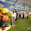 팝업 아일랜드