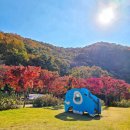 부산유아교육체험원 | 부산 화명동 아이와 갈만한곳 금정산 대천천 누리길 유아숲 금정산성광장 주차장
