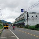 실반트리 이미지