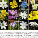 2025년 6월 15일 인제 대암산 용늪(민통선) &amp; 펀치볼 을지전망대 제4땅굴 이미지