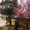 남산원천탕 이미지