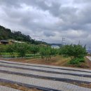 고령농장(2) 이미지