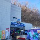 GR(화천군)-[상승로]-상-10 | 화천 얼음조각광장 실내 세계 최대 규모(산천어 시네마)