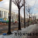 신안아파트 앞 상가 이미지