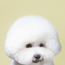 별사진관 이미지