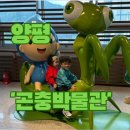 양평곤충박물관 | [양평 박물관] 양평 비올때 아이랑 실내 갈만한 곳 양평곤충박물관 후기, 곤충박물관 근처 식당 추천
