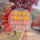 캠핑장 | 인제 오아시스 정글 캠핑장 후기 단풍 + 명당 추천