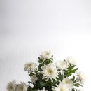 효원이네 국밥 | 한일병원장례식장에서 효원가족공원까지 조용히 보내드린 식당 사장님의 무빈소 장례 후기