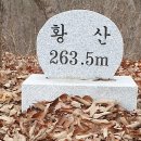 나비종주 - 아산 송악 날씬하고 예쁜 나비 이미지