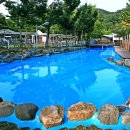 성보촌야외수영장 이미지