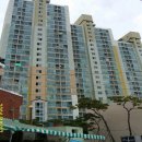 초읍동-17 이미지