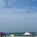 대우목장 1 이미지