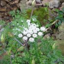 봉미산산촌마을 이미지