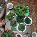 자연인의 밥상
