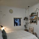 스테이 무림 이미지