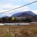 공세리농장 이미지