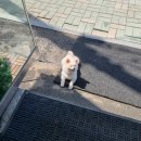 목동터미널 화장실 이미지