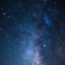 팀 보노 이미지