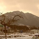 서상시장 이미지