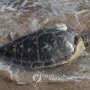 종보존연구센터 연합뉴스