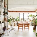 식물 인테리어 이미지