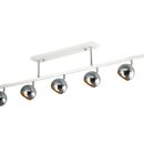 크롬베리 이미지