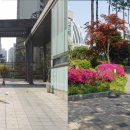 청운부동산공인중개사사무소 이미지