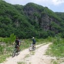 청량산 임도1 이미지