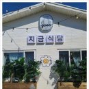 지금식당 - 중구 | 지금식당