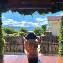 대청민박 이미지