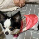 더샵뽑아방 | 2026. 02월의 일상기록🍓