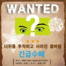 우성아파트104동앞 이미지