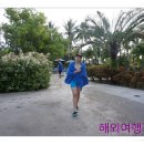 (주)천사여행사