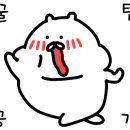 바코드(BACODE)