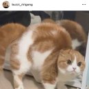 박달박가네숯불껍데기 건대점 이미지